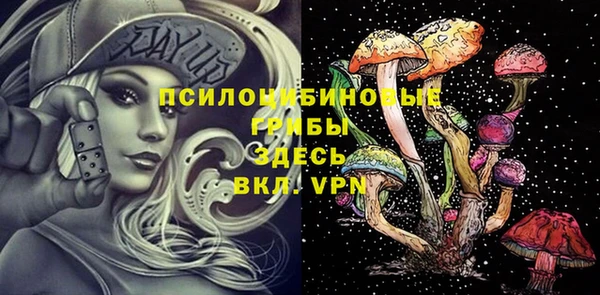 хмурый Аркадак