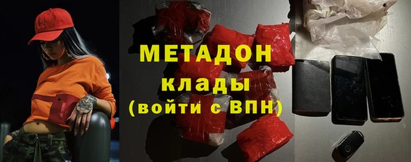 шишки Арсеньев