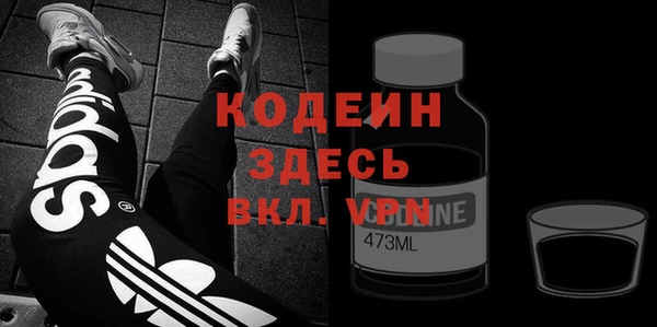 хмурый Аркадак