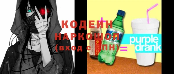шишки Арсеньев