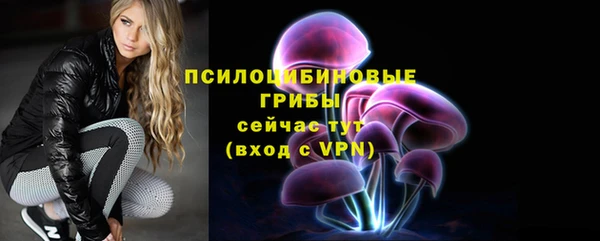 мяу мяу мука Баксан