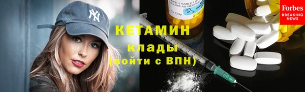 хмурый Аркадак