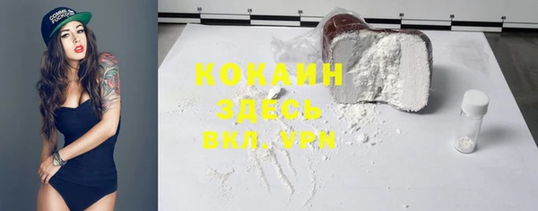 хмурый Аркадак