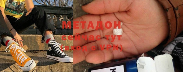 хмурый Аркадак