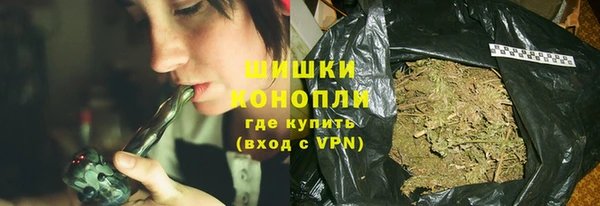 шишки Арсеньев