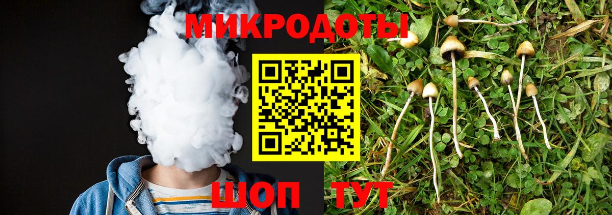 Кемерово  Галлюциногенные грибы прущие грибы  продажа наркотиков  Вход с VPN 