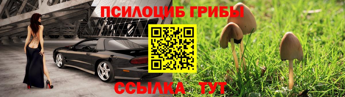 Галлюциногенные грибы прущие грибы Кемерово